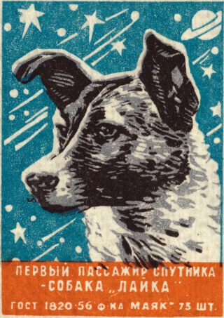 Illustration for article titled Vintage Memorabilia Celebrates The Soviet Union's Cosmonaut Dogs